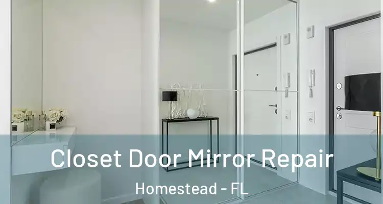  Closet Door Mirror Repair Homestead - FL