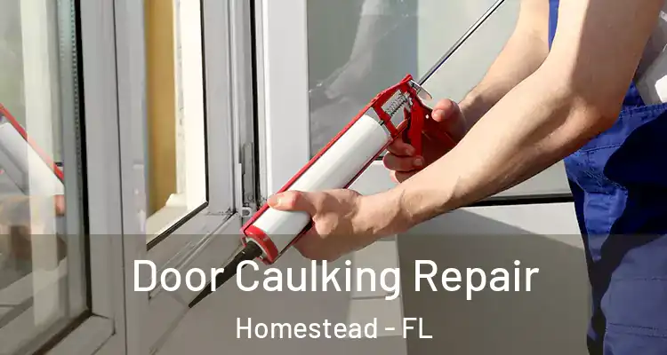  Door Caulking Repair Homestead - FL