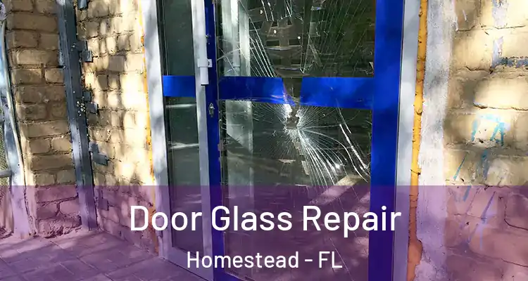  Door Glass Repair Homestead - FL