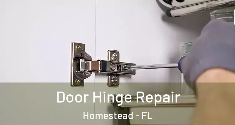  Door Hinge Repair Homestead - FL