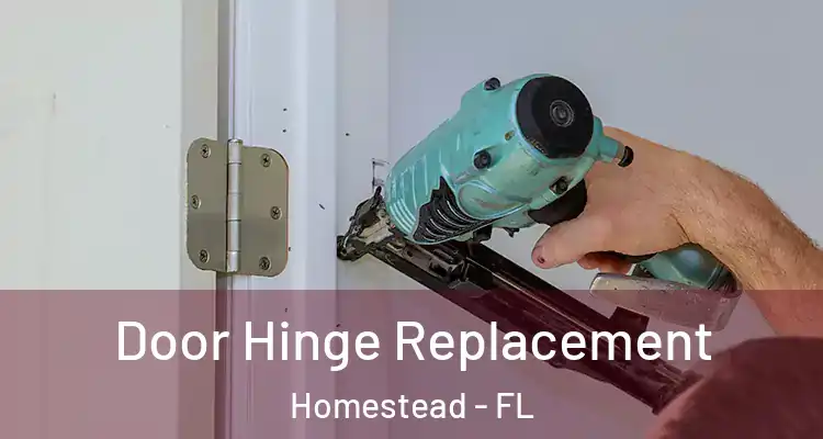  Door Hinge Replacement Homestead - FL