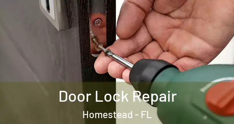  Door Lock Repair Homestead - FL