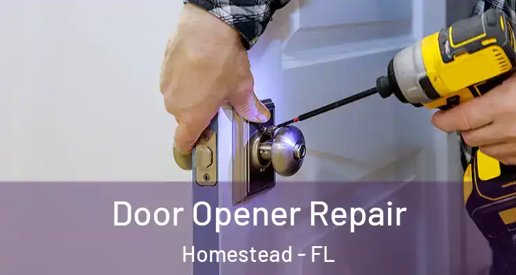  Door Opener Repair Homestead - FL