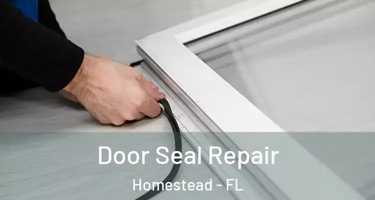  Door Seal Repair Homestead - FL