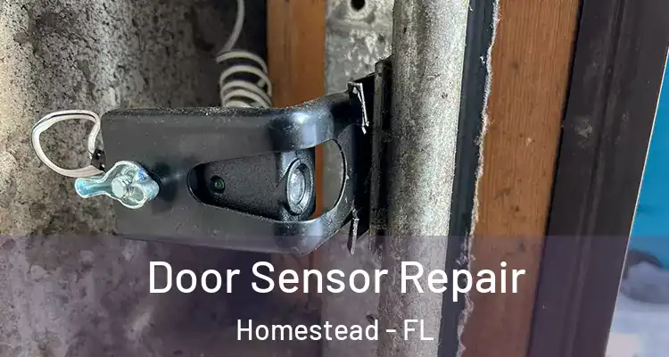  Door Sensor Repair Homestead - FL