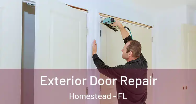  Exterior Door Repair Homestead - FL