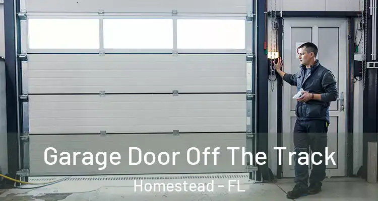  Garage Door Off The Track Homestead - FL