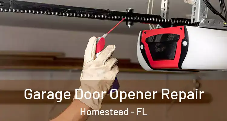  Garage Door Opener Repair Homestead - FL