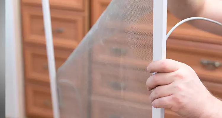 Privacy Mesh Screen Door Installation in Homestead, FL