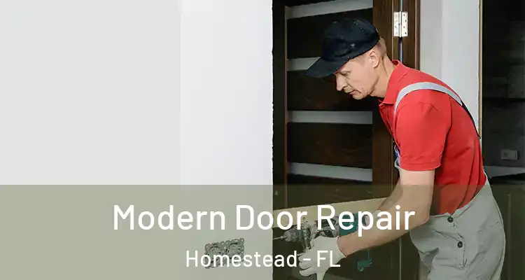 Modern Door Repair Homestead - FL