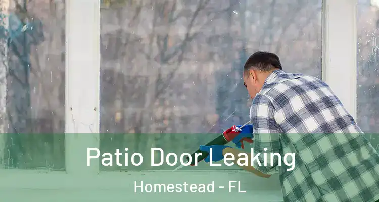  Patio Door Leaking Homestead - FL