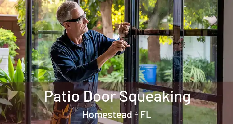  Patio Door Squeaking Homestead - FL