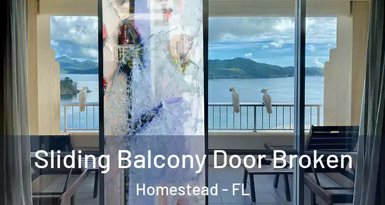  Sliding Balcony Door Broken Homestead - FL