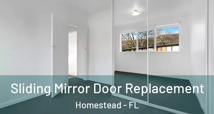  Sliding Mirror Door Replacement Homestead - FL