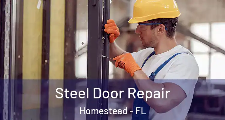  Steel Door Repair Homestead - FL