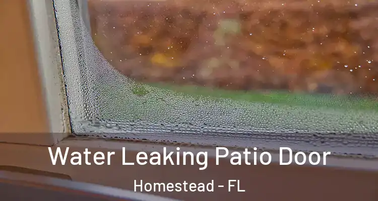  Water Leaking Patio Door Homestead - FL